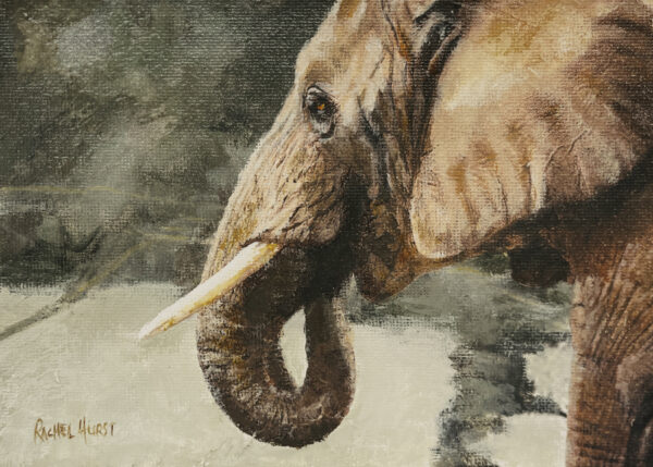 Rachel Hurst Truth of Heart small elephant painting